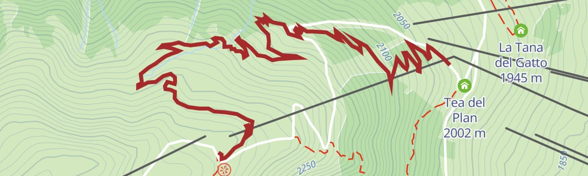 Route map: Roller Coaster